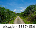鳩間島の道 56674630