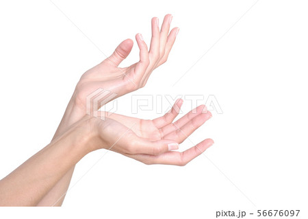 Elegant female hands. Beautiful fingers. Elegant female hands. Beautiful fingers. 56676097