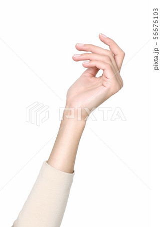 Elegant female hands. Beautiful fingers. Elegant female hands. Beautiful fingers. 56676103
