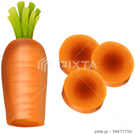 Fresh carrot slices on white background 56677750