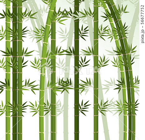 Background design with bamboo trees 56677752