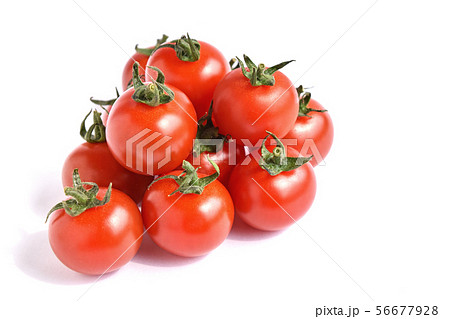 ミニトマト 千果 の写真素材