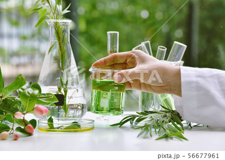Scientist with natural drug research, Natural 56677961
