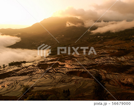中国雲南省元陽・ 多依樹棚田 / Duoyishu Rice Terraces, Yuanyang 中国雲南省元陽・ 多依樹棚田 / Duoyishu Rice Terraces, Yuanyang 56679000