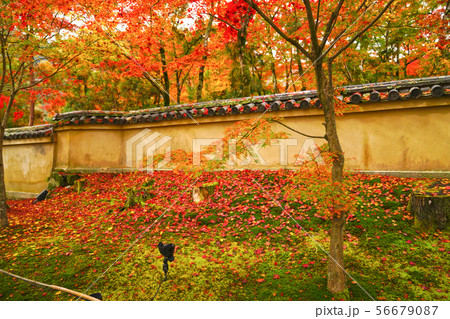 京都　秋の宝厳院 56679087
