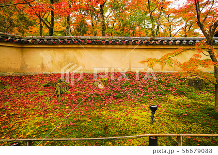 京都 秋の宝厳院 京都 秋の宝厳院 56679088