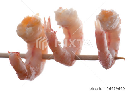 shrimp on white macro 56679660