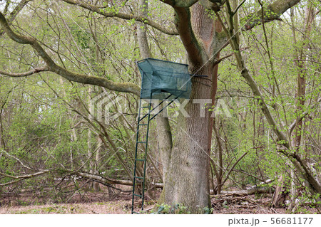 Deer culling high seat 56681177