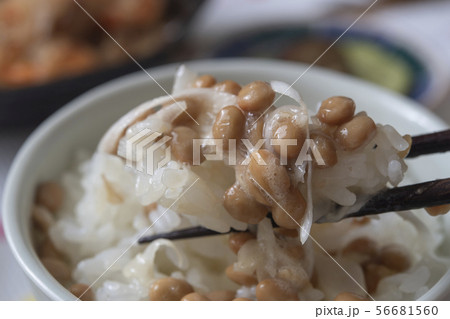 納豆ごはん 納豆ごはん 56681560