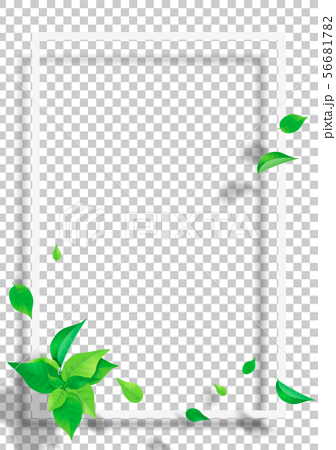 新緑 葉 白いフレーム Png 透過のイラスト素材