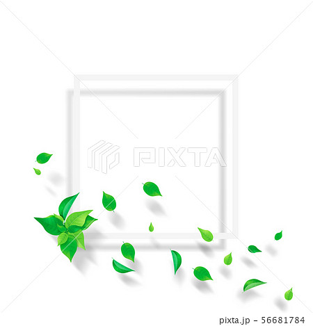 新緑 葉 白いフレーム Png 透過のイラスト素材