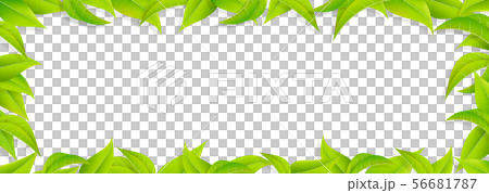 Green-leaf-leaf-frame-fresh green-png-transparent 56681787