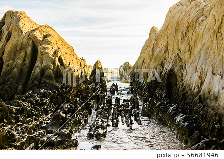【千葉県】白浜の屏風岩 【千葉県】白浜の屏風岩 56681946