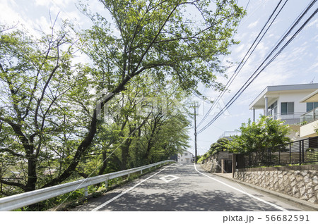 聖蹟いろは坂 56682591