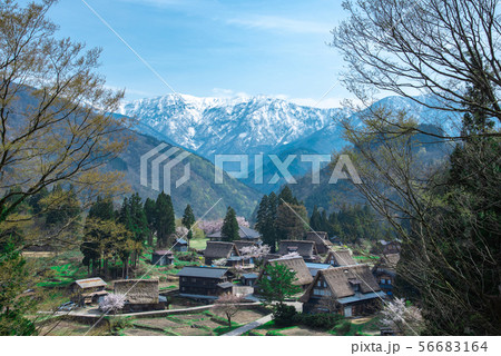 富山の美しい景色　雪どけの山と五箇山の合掌造り 56683164