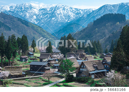 富山の美しい景色　雪どけの山と五箇山の合掌造り 56683166