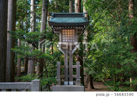 新潟 弥彦神社 参道の灯籠 56683590