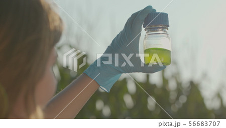 Agriculture science researcher on Corn Fields. Woman scientist with test tube doing research outdoor 56683707