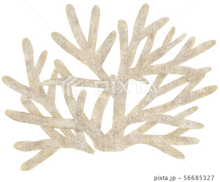 手描き 海素材 サンゴ 手描き 海素材 サンゴ 56685327