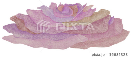 手描き 海素材 サンゴ 手描き 海素材 サンゴ 56685328