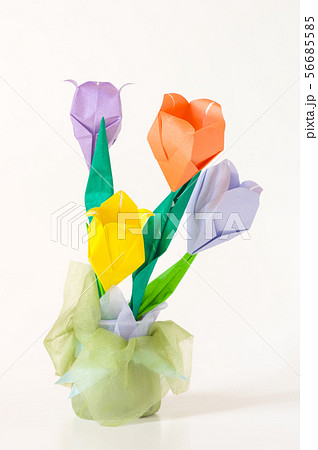 折り紙のチューリップ 折り紙のチューリップ 56685585