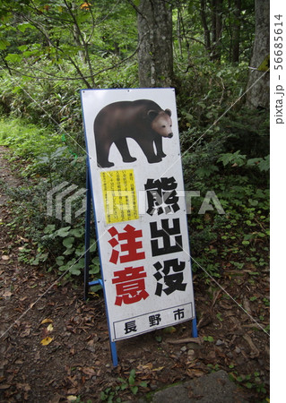 熊出没注意看板 熊出没注意看板 56685614