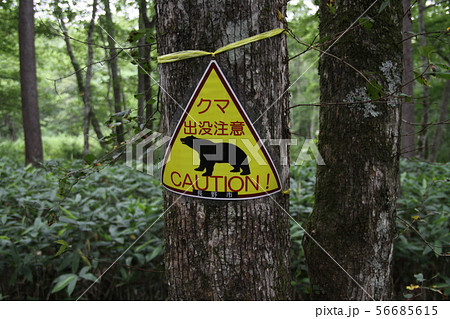 熊出没注意看板 熊出没注意看板 56685615