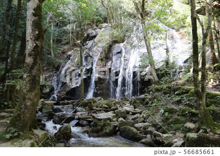 金引の滝 56685661