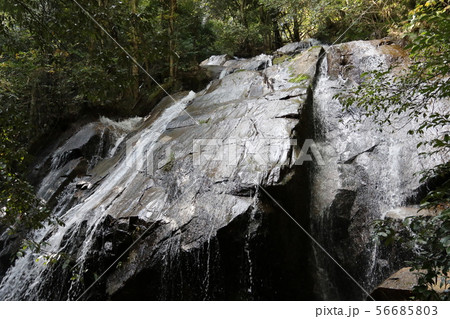 金引の滝 56685803