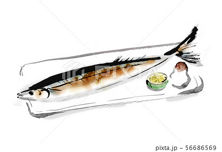 焼きさんま 秋刀魚 さんま サンマ 魚 秋 秋食材 旬 さかな 青魚 イラスト 墨絵 和風 筆書き のイラスト素材