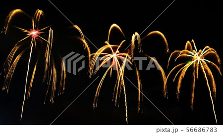 2019 うつのみや花火大会 （ 栃木県宇都宮市 ） 鬼怒川 道場宿緑地 56686783