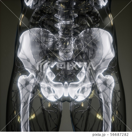 Transparent Human Body with Visible Bones 56687282