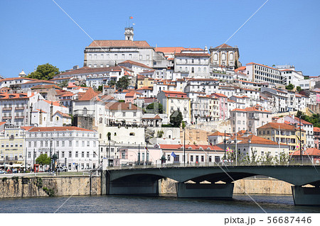 コインブラ 56687446