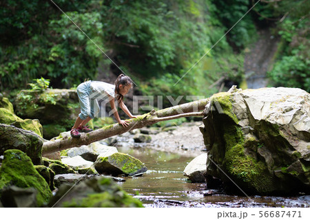 丸太を渡る子供 56687471