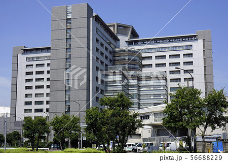 東京入国管理局（東京出入国在留管理局） 56688229