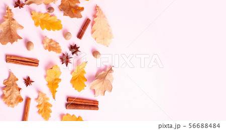 Fall leaves autumn background Fall leaves autumn background 56688484