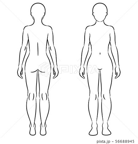 Illustration female human body type hi-res stock photography and images -  Alamy