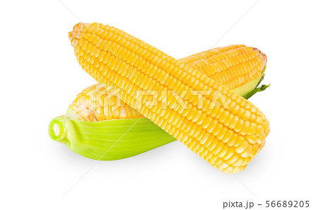 Corn cob on white background Corn cob on white background 56689205