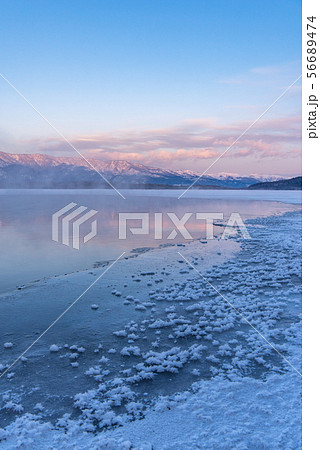 屈斜路湖のフロストフラワー 56689474