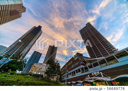日本の川崎都市景観 武蔵小杉駅やタワーマンション群などを望む 日本の川崎都市景観 武蔵小杉駅やタワーマンション群などを望む 56689776