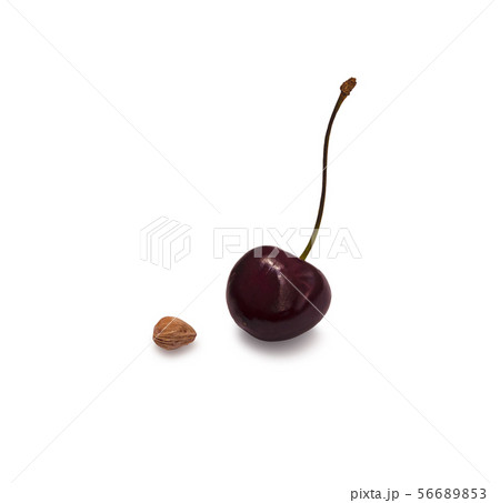 Cherry and stone 56689853