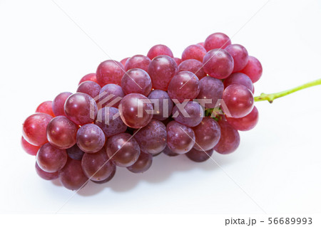 ぶどう　デラウエア 56689993