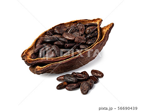 Cocoa pod 56690439
