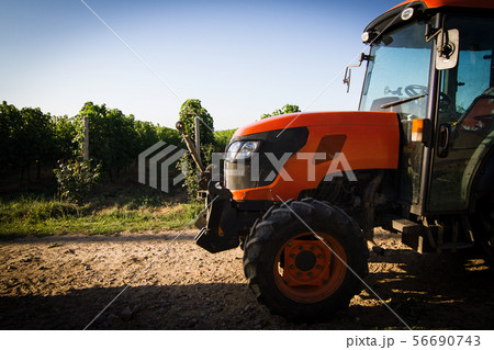 closeup of red tractor in front of vineyard rows closeup of red tractor in front of vineyard rows 56690743
