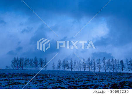 夕暮れの美瑛の丘 夕暮れの美瑛の丘 56692286