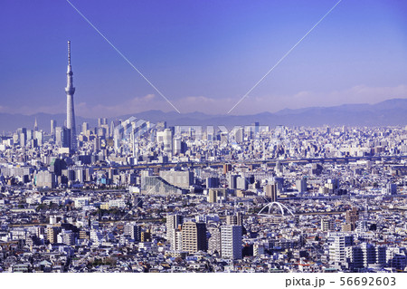 (東京都)東京都市風景 (東京都)東京都市風景 56692603