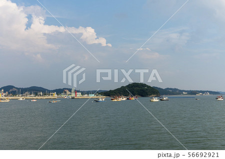 屋外 室外 自然 56692921