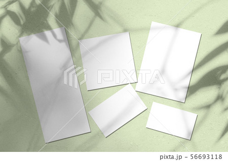 Empty white wedding stationery mockups with willow 56693118
