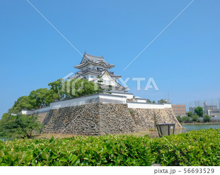 岸和田城 岸和田城 56693529