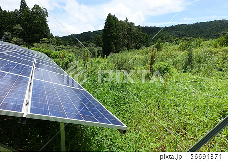 雑草に囲まれた太陽光発電所 雑草に囲まれた太陽光発電所 56694374